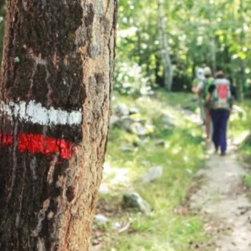Weekend et Hébergement Insolite proche Villalier, à 10 min de Carcassonne Weekend et Hébergement Insolite proche Villalier, à 10 min de Carcassonne