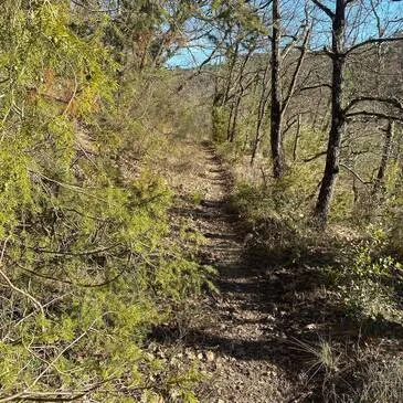 Activité Insolite, département Var Activité Insolite, département Var