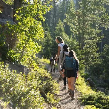 Haute savoie (74) Rhône-Alpes - Montagne - Sports d'Hiver Haute savoie (74) Rhône-Alpes - Montagne - Sports d'Hiver