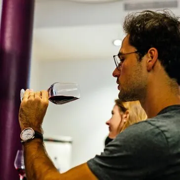 Annecy, Haute savoie (74) - Cours d'œnologie Annecy, Haute savoie (74) - Cours d'œnologie