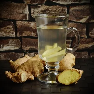 Atelier Fabrication de Ginger Beer à Paris 12ème Atelier Fabrication de Ginger Beer à Paris 12ème