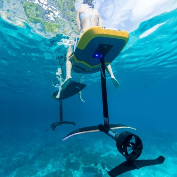 Deauville, Calvados (14) - Surf et Sport de Glisse Deauville, Calvados (14) - Surf et Sport de Glisse