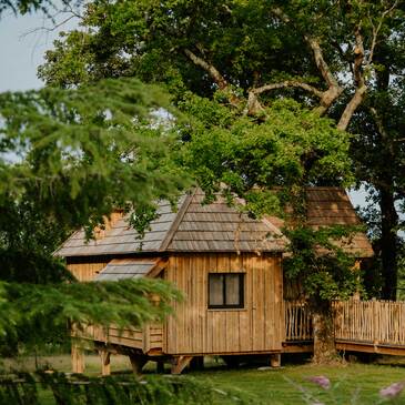 Cabane sur Pilotis avec Spa Privatif près de Bordeaux