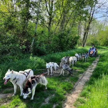 Randonnée en Cani-Kart près de Valence Randonnée en Cani-Kart près de Valence