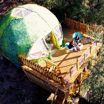 Bulle dans les Arbres près de Toulon