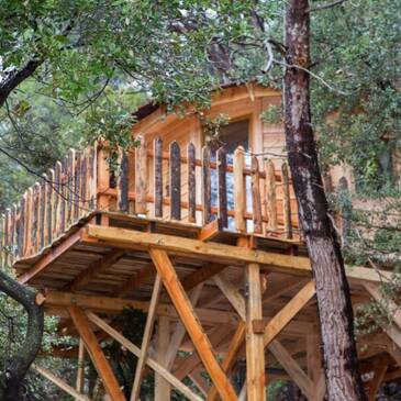 Cabane dans les Arbres avec Spa près de Toulon