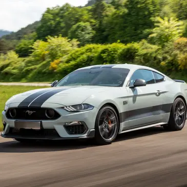 Circuit de Mettet, Namur (WNA) - Stage de Pilotage Ford Mustang