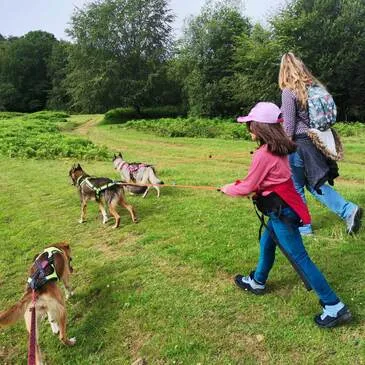 Balade en Cani-Rando à La Mongie Balade en Cani-Rando à La Mongie
