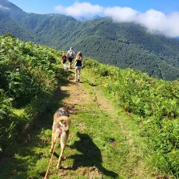Hautes pyrénées (65) Midi-Pyrénées - Montagne - Sports d'Hiver Hautes pyrénées (65) Midi-Pyrénées - Montagne - Sports d'Hiver