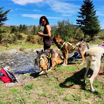 Balade en Cani-Rando à La Mongie en région Midi-Pyrénées