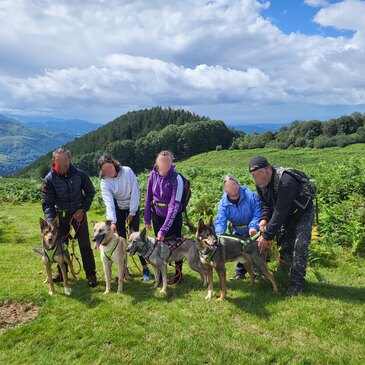 Réserver Chien de Traîneau département Hautes pyrénées