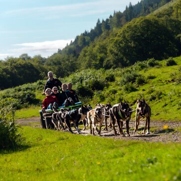 Randonnée en Cani-Kart près de La Mongie