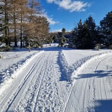 Randonnée en Chiens de Traîneau - Cambre-d'Aze près de Font-Romeu en région Languedoc-Roussillon