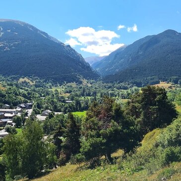 Eyne, à 15 min de Font Romeu, Pyrénées orientales (66) - Chien de Traîneau