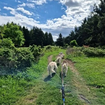 Pyrénées orientales (66) Languedoc-Roussillon - Montagne - Sports d'Hiver Pyrénées orientales (66) Languedoc-Roussillon - Montagne - Sports d'Hiver