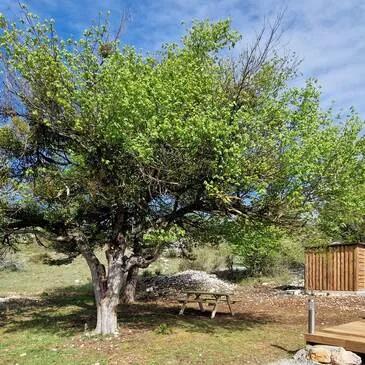 Weekend et Hébergement Insolite proche Bézaudun-les-Alpes, à 60 min de Nice Weekend et Hébergement Insolite proche Bézaudun-les-Alpes, à 60 min de Nice