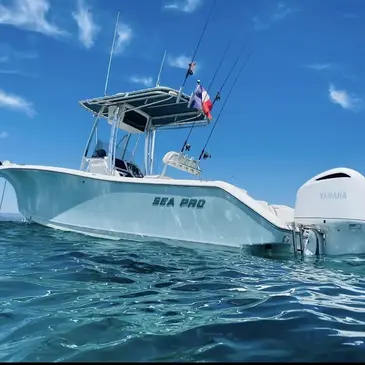 Pêche au gros, département Bouches du Rhône Pêche au gros, département Bouches du Rhône