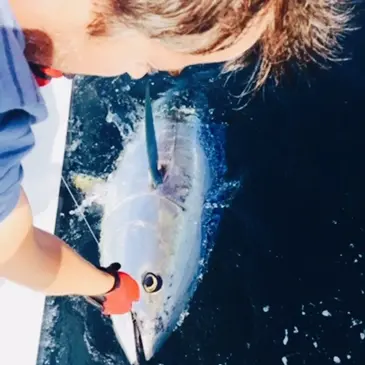 Bouches du Rhône (13) PACA et Corse - Sport Aquatique Bouches du Rhône (13) PACA et Corse - Sport Aquatique