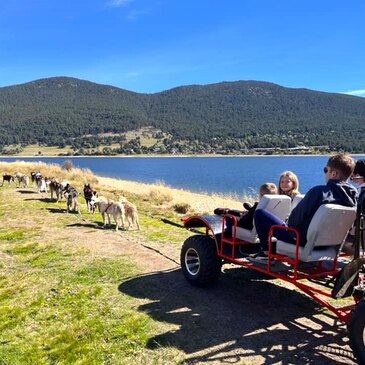 Randonnée en Cani-Kart aux Angles