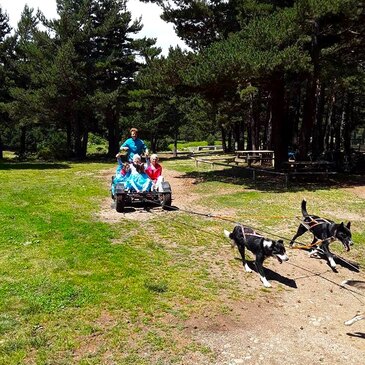 Randonnée en Cani-Kart aux Angles en région Languedoc-Roussillon