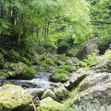 Week end en région Midi-Pyrénées