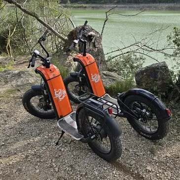 Activité Insolite, département Var Activité Insolite, département Var
