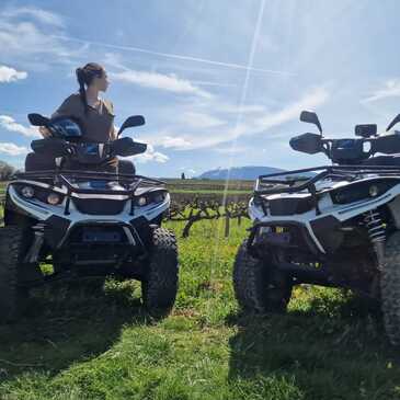 Quad & Buggy, département Vaucluse