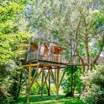 Cabane dans les Arbres près de Langon