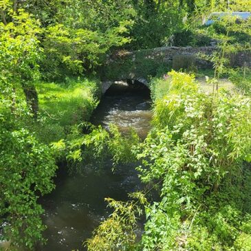 Randonnée en Quad près de Vichy en région Auvergne