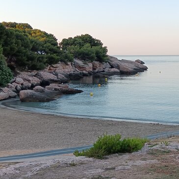 Baptême de plongée, département Bouches du Rhône