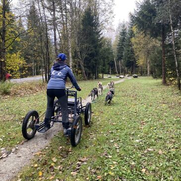 Balade en Cani-Kart à Chamonix Mont Blanc