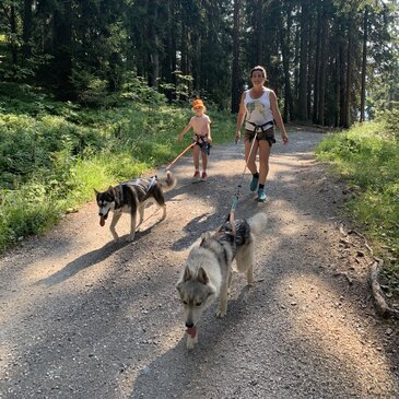 Balade en Cani-Rando à Chamonix Mont-Blanc