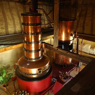 Cours d'œnologie en région Midi-Pyrénées