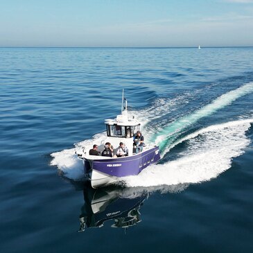 Balade en bateau, département Pyrénées atlantiques