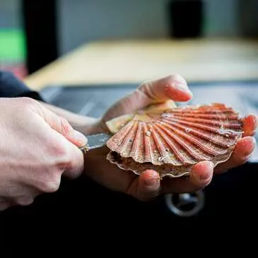 Ille et vilaine (35) Bretagne - Urbain Ille et vilaine (35) Bretagne - Urbain