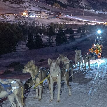 Chien de Traîneau, département Ariège