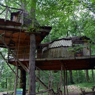 Nuit en Cabane Familiale dans les Arbres près de Dole