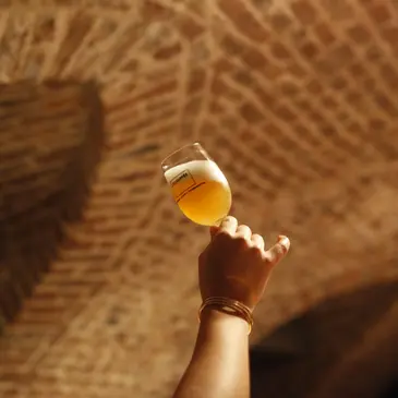 Cours d'œnologie en région Nord-Pas-de-Calais Cours d'œnologie en région Nord-Pas-de-Calais