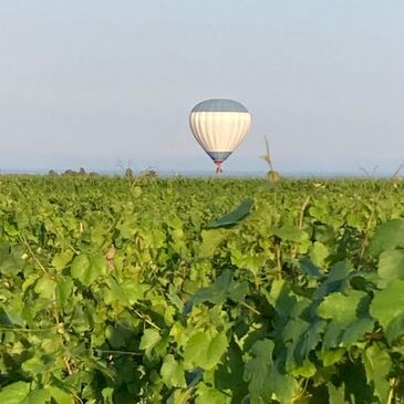 Aérodrome de Nuits-Saint-Georges, Côte d&#39;or (21) - Baptême de l&#39;air montgolfière