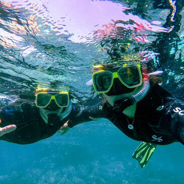 Snorkeling, département Hérault