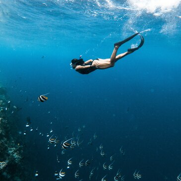 Snorkeling en région Languedoc-Roussillon