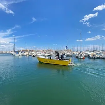 Baptême de plongée, département Hérault Baptême de plongée, département Hérault