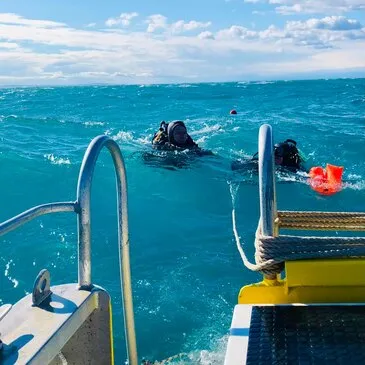 Baptême de plongée en région Languedoc-Roussillon Baptême de plongée en région Languedoc-Roussillon