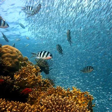 Hérault (34) Languedoc-Roussillon - Sport Aquatique Hérault (34) Languedoc-Roussillon - Sport Aquatique