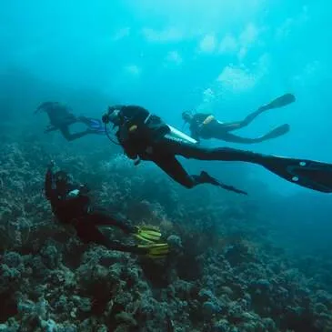 Baptême de plongée en région Pays-de-la-Loire Baptême de plongée en région Pays-de-la-Loire