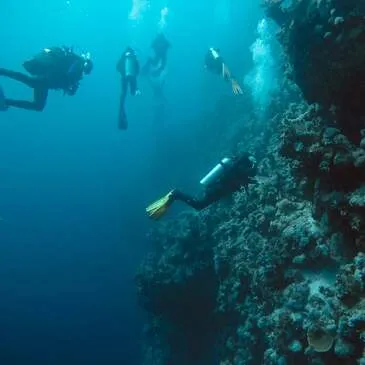 Angers, Maine et loire (49) - Baptême de plongée Angers, Maine et loire (49) - Baptême de plongée