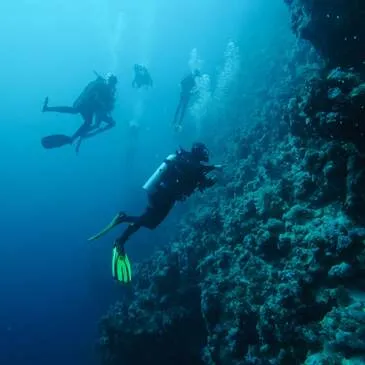 Brevet de Plongée Niveau 1 à Angers Brevet de Plongée Niveau 1 à Angers