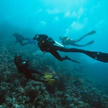 Brevet de Plongée Sous Marine proche Angers Brevet de Plongée Sous Marine proche Angers