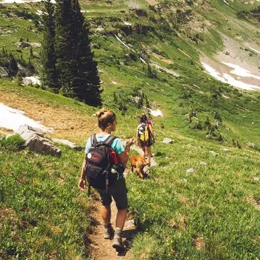 Alpes de Haute Provence (04) PACA et Corse - Montagne - Sports d'Hiver Alpes de Haute Provence (04) PACA et Corse - Montagne - Sports d'Hiver