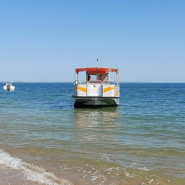 Pêche au gros, département Gironde